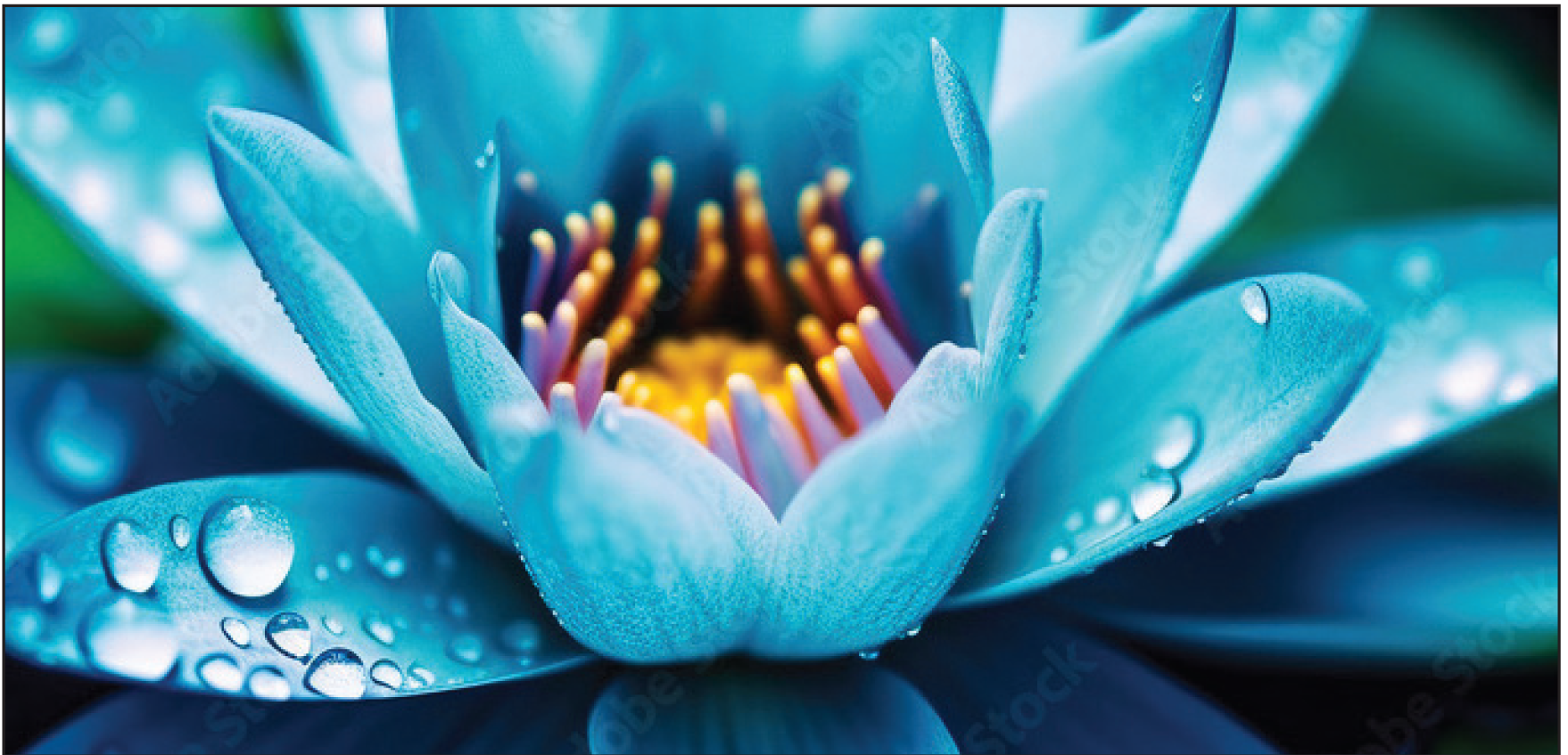 mental health or behavioral health treatment