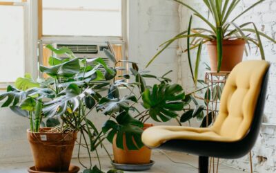 PTSD and Trauma: How IOP Provides Structured Recovery